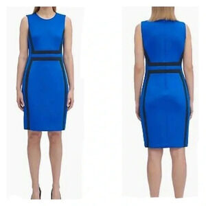 Calvin Klein Color Block Sheath Dress Size 8P